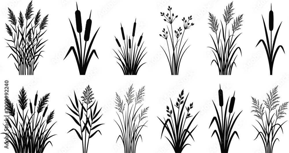Fototapeta premium Grass and reed silhouettes set for natural botanical design elements