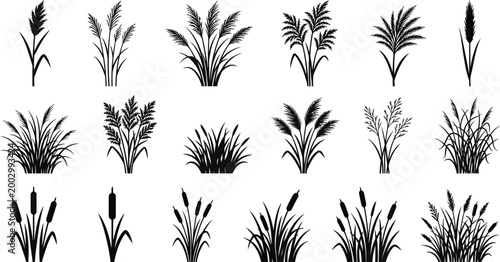 Various grass and plant silhouettes set for natural design elements