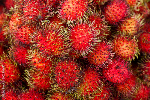 Red rambutan fruit close up at market