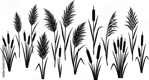 Reed and grass silhouettes collection for natural botanical design elements