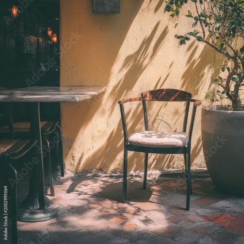 A chair and small table sit empty beside a plant while sunlight creates patterns on the ground