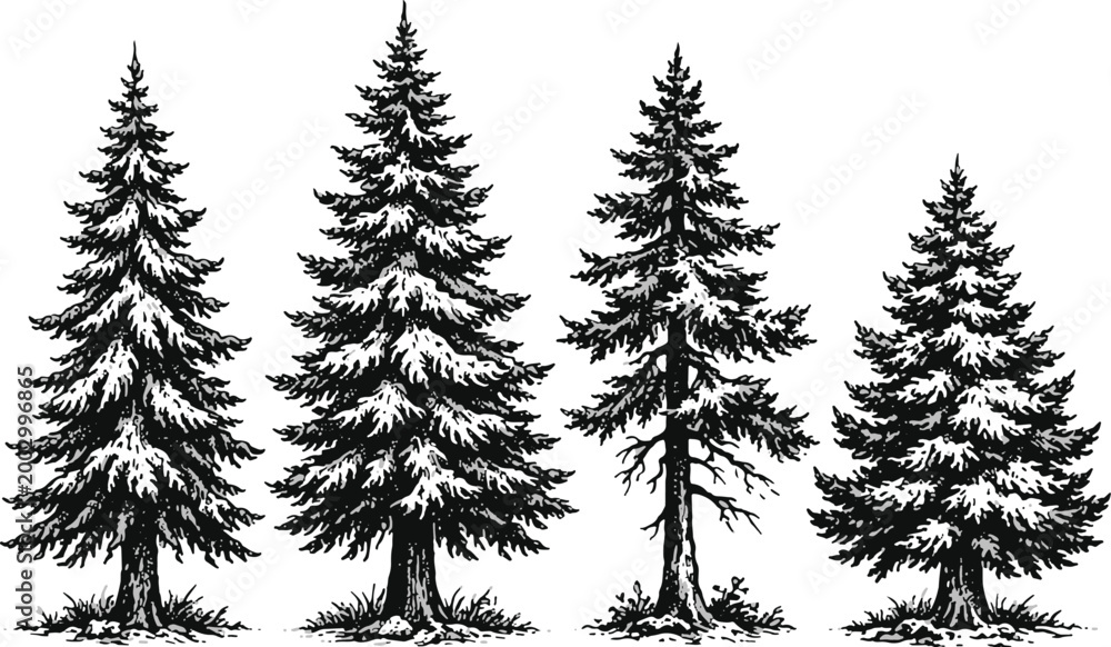 Fototapeta premium Four-tree Clip art