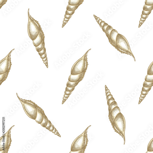 Hand drawn vintage seamless pattern of spiral sea shell engraving colored beige marine mollusk illustration