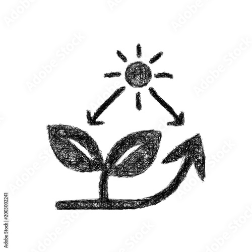 Sketch photosynthesis icon design