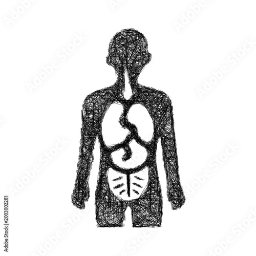 Sketch anatomy icon design