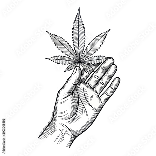 Hand Holding Marijuana Leaf - Sketch Illustration