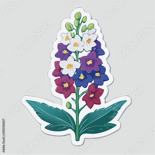 Illustration of a Delphinium flower with purple, blue, and white petals