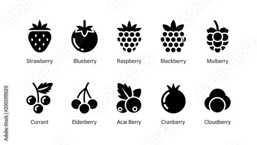 Flat style fruit icons set with names in minimalist design Vector