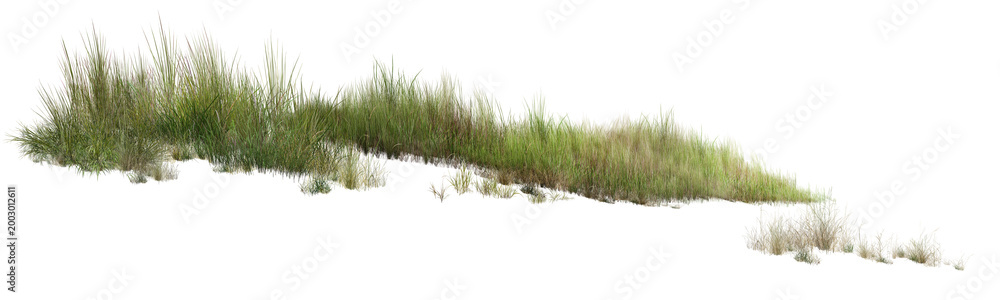 Naklejka premium grass on white background/High-resolution isolated green grass border, sharp focus nature vegetation for architectural visualization and graphic design on white background.