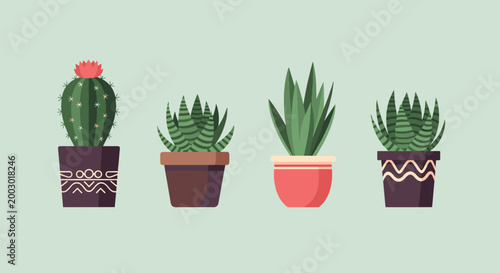 Selection of four small succulent plants and a flowering cactus in decorative patterned and colorful ceramic pots for home.