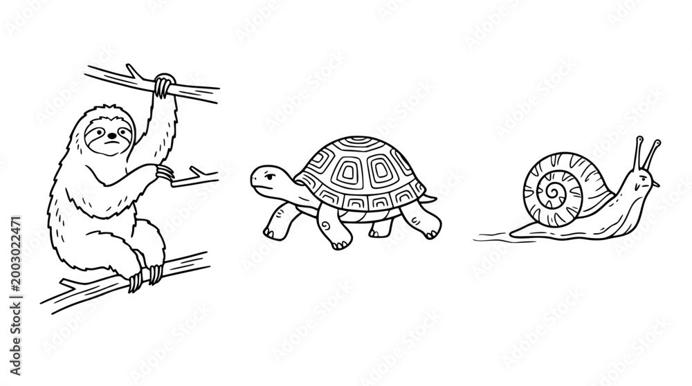 Fototapeta premium Charming Trio of a Sloth, Turtle, and Snail Friends