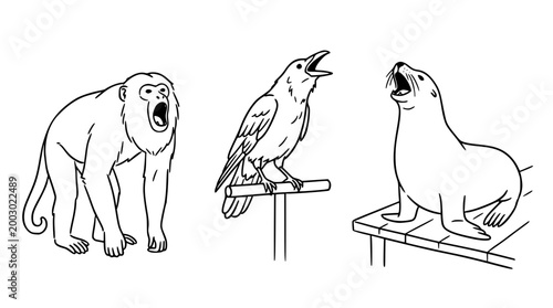 Expressive Animals: Monkey, Crow, and Sea Lion Squad