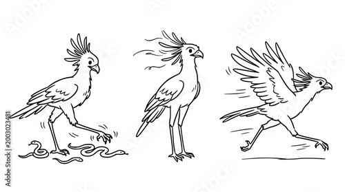 Colorful birds showcasing various poses and actions.