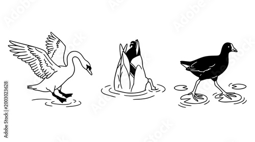 Elegant Swan Gliding on Serene Water Surface