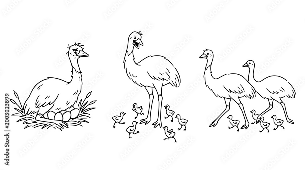 Obraz premium A Mother Emu and Her Chicks in a Natural Setting
