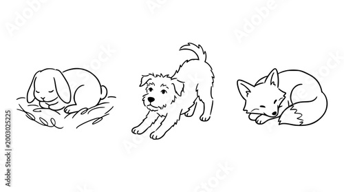 Dreamy Sleepy Pets: Bunny, Dog, and Fox Together
