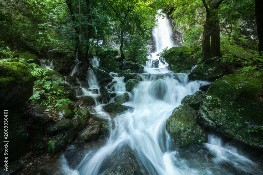 Fototapeta premium Long exposure of Maewoldae Waterfall cascading through lush green forest, South Korea