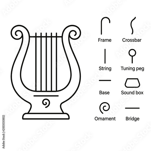 Detailed diagram of lyre parts and their names for educational use