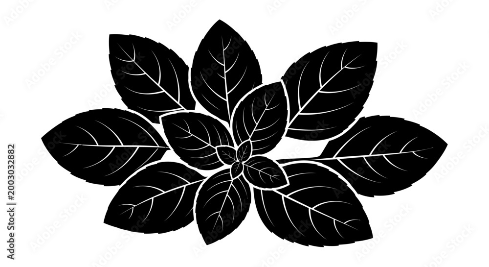 Obraz premium Black and White Basil Leaves Silhouette, Fresh Herb Plant Illustration