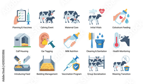 Calf care and management icons arranged on white background