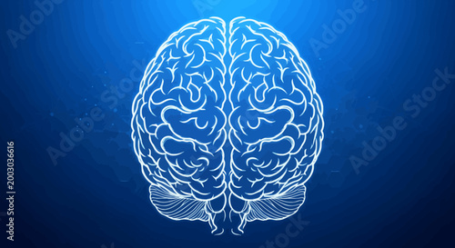 Blue Neon Brain Illustration Showing Detailed Neuroanatomy of the Cerebrum and Cortex.