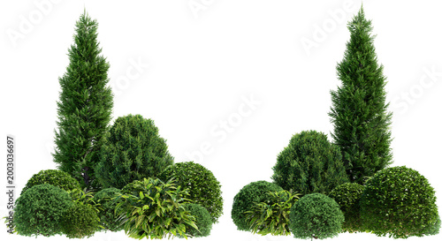 Pine garden decoration on a transparent background