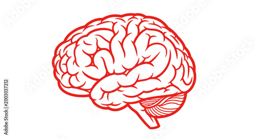 Red outlined brain illustration on white background suitable for educational and design projects.