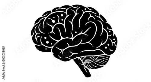 Stylized black brain illustration highlighting cognitive science and intellect for educational and research contexts.
