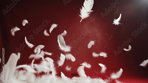 Burst of White Feathers Exploding and Fluttering Against a Deep Red Background