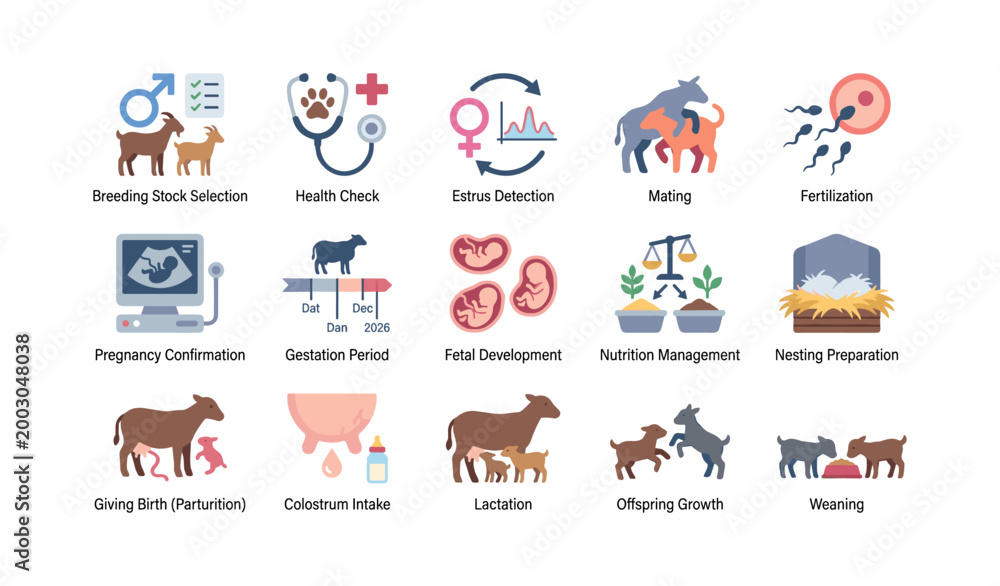 Fototapeta premium Animal breeding and reproduction icons set showing farm processes