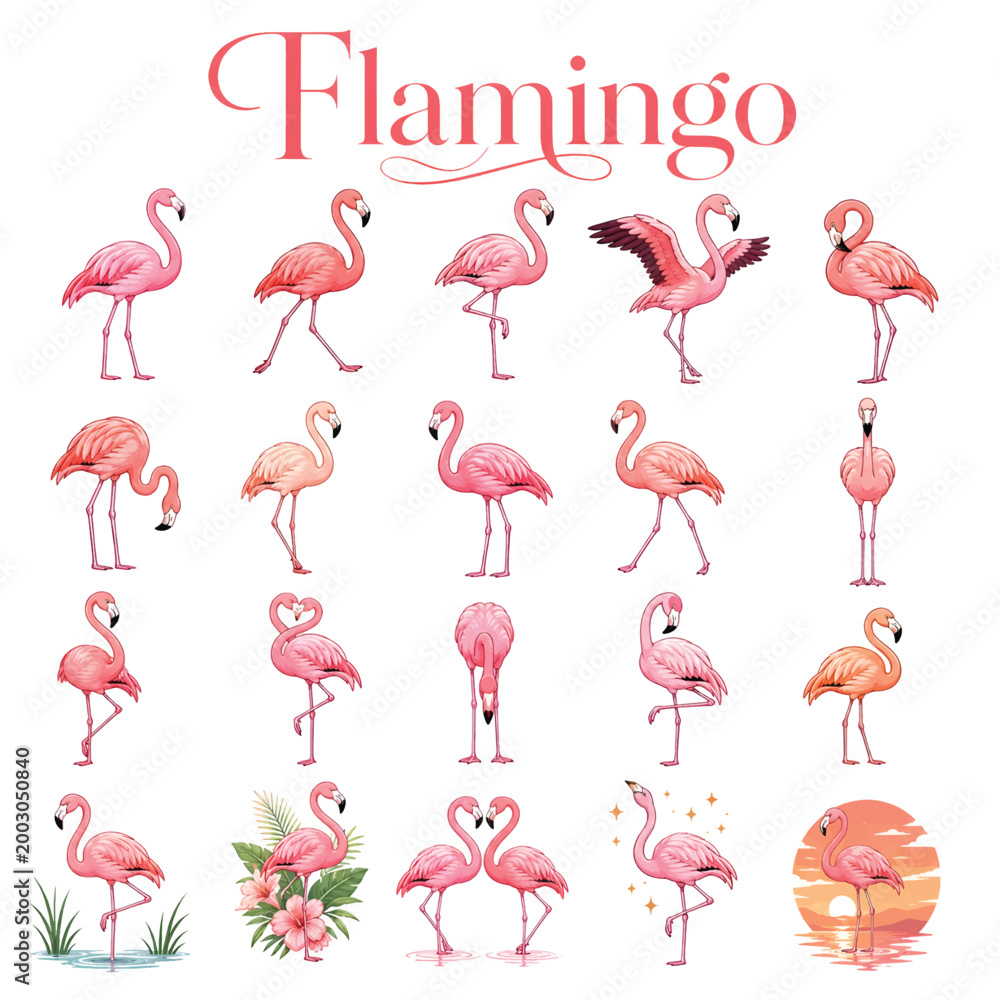 Obraz premium Flamingo in Wetland – Elegant Pink Bird Standing in Natural Habitat