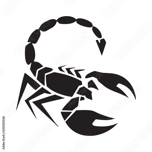 Modern Elegant Scorpion Icon Logo