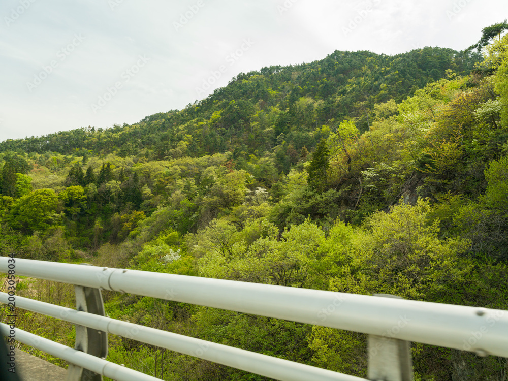 Fototapeta premium Green Hillside White Guardrail Road Wide Landscape