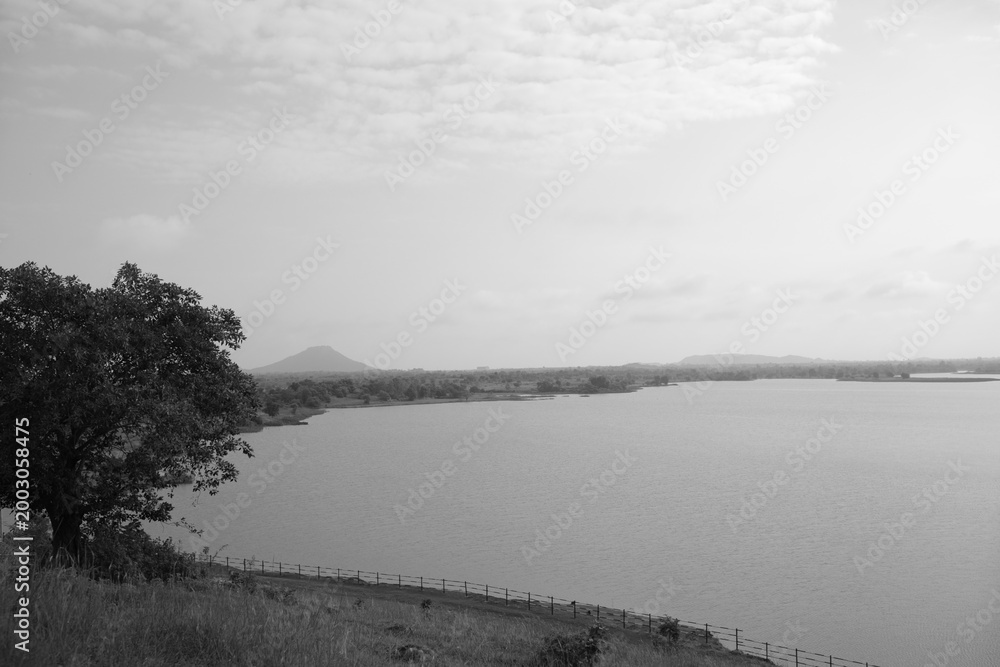Fototapeta premium misty morning on the river