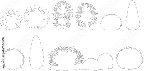Minimalist tree outline set for architectural elevation, 11 landscape plant vector icons, black and white garden shrub sketches for site planning