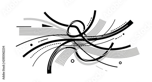 spider on a white background