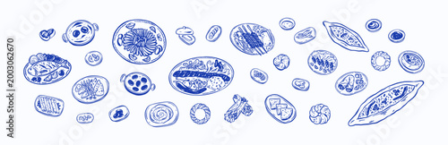 Hand drawn sketch doodle Turkish food set flat lay. Turkish breakfats table top view crayon background. Doner kebab, shawarma, chicken and beef wrap, pide, tantuni, sigara borek illustration