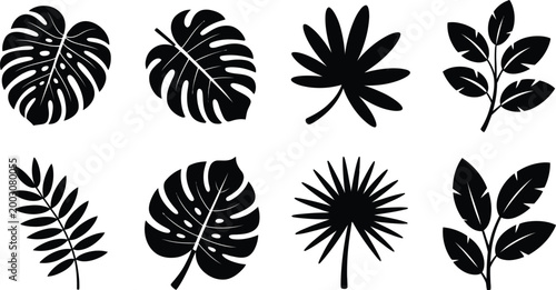 Collection of tropical leaf silhouettes on white background