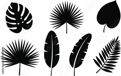 Collection of tropical leaf silhouettes on white background