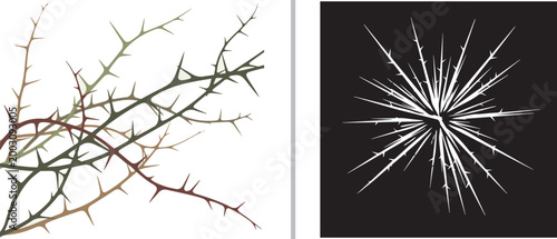 Set of thorny branches and radial spike burst vector illustration isolated on white background