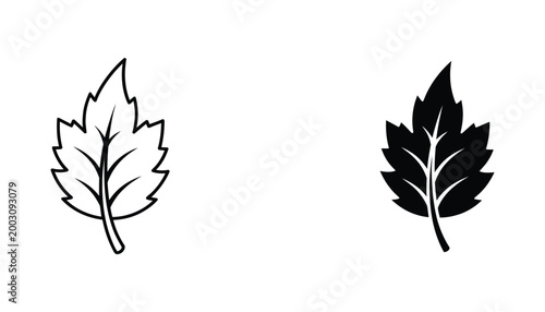 Organic leaf icon set featuring detailed botanical line art and solid black leaf silhouettes for eco friendly branding and natural design projects