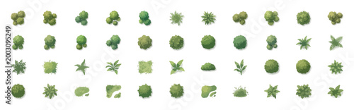 Top view tree vector set, 44 architectural landscape plan symbols, green garden plant icons for site mapping and urban design visualization
