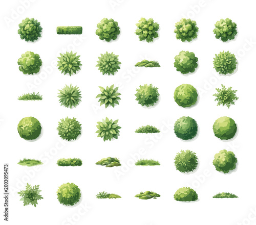 Top view landscape trees and bushes vector set, architectural plan greenery symbols, 36 garden plant icons for site mapping and landscaping design