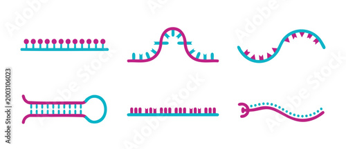 DNA RNA abstract biology infographic icons set for genetics research and molecular science laboratory analysis, colorful vector flat illustrations of nucleic acid structures and genetic sequence patte