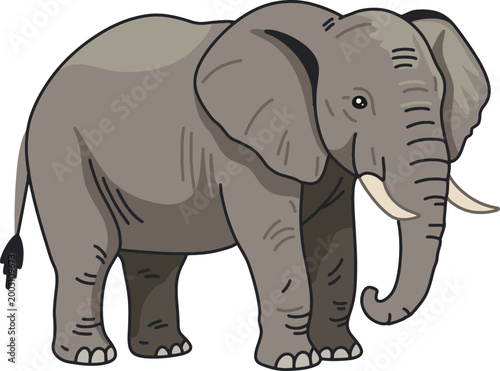 Elephant Large Mammal Wildlife Illustration