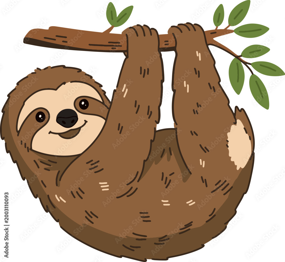 Obraz premium Sloth Slow Tree Animal Illustration