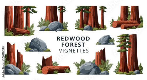 Konstfotografi A collection of redwood forest vector illustrations featuring giant trees logs g