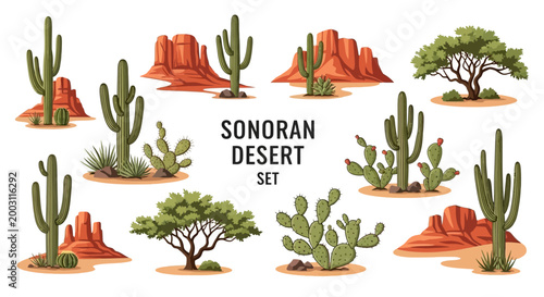 Fotografie A collection of Sonoran Desert elements including saguaro cacti prickly pear cac