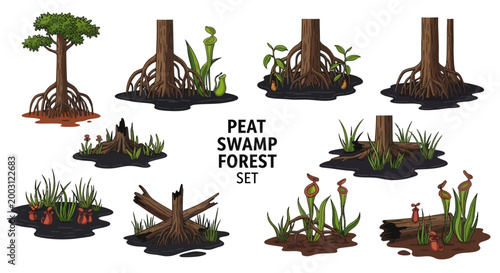 Canvas Print Illustration set of peat swamp forest elements including trees with prop roots p