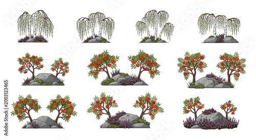 Set of nine illustrations featuring whitebarked weeping trees and rowan trees with berries arranged around grey garden stones